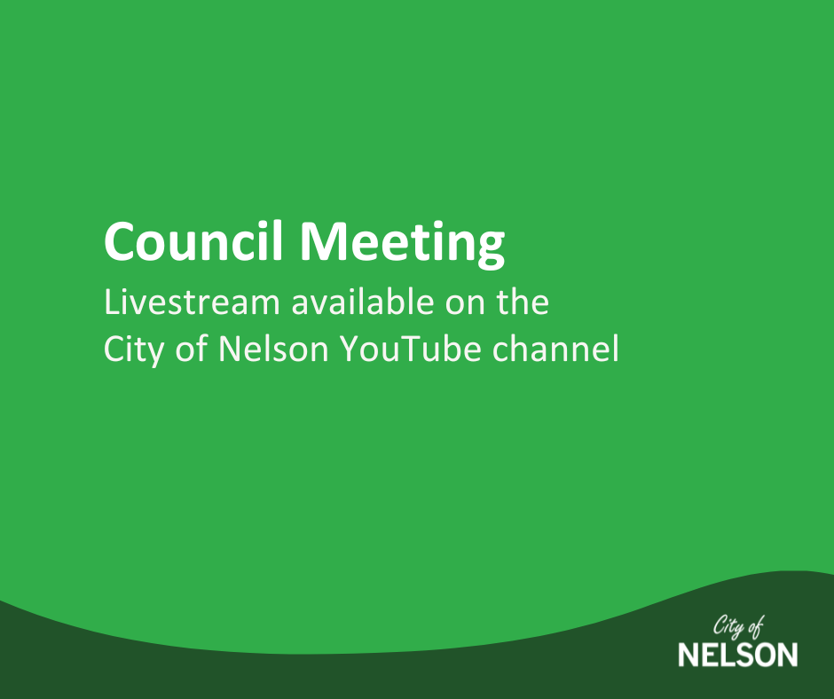 council livestream