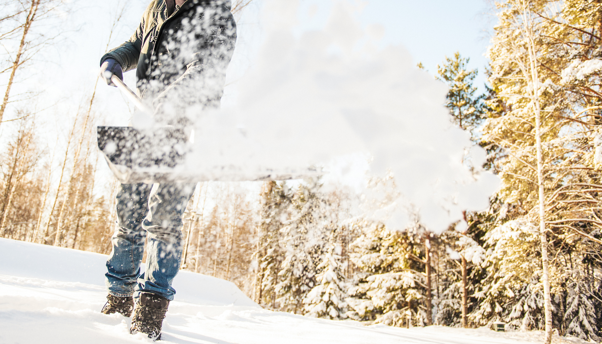 snow angel program header