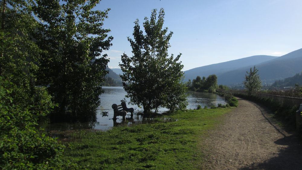 A38C5809-F8AA-4BA7-A640-B7ED34BA2B8A