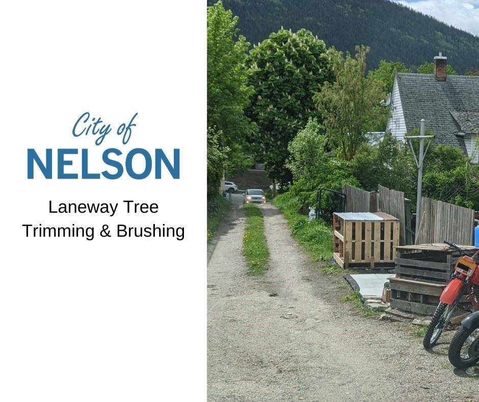 Laneway Tree Trimming