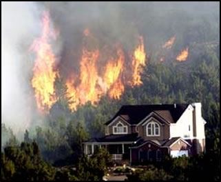 One house forest fire
