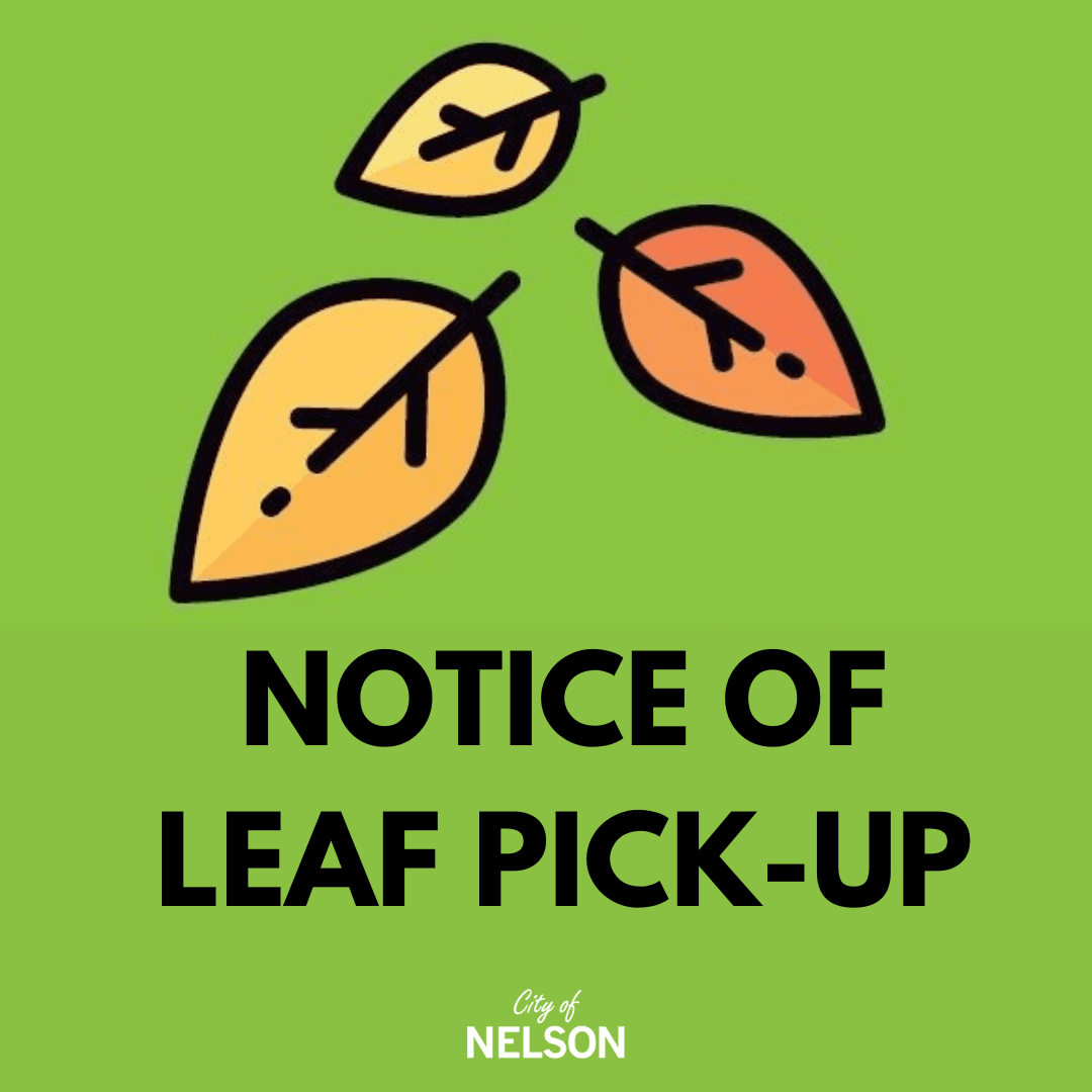 Leaf Removal Big poster (Instagram Post)