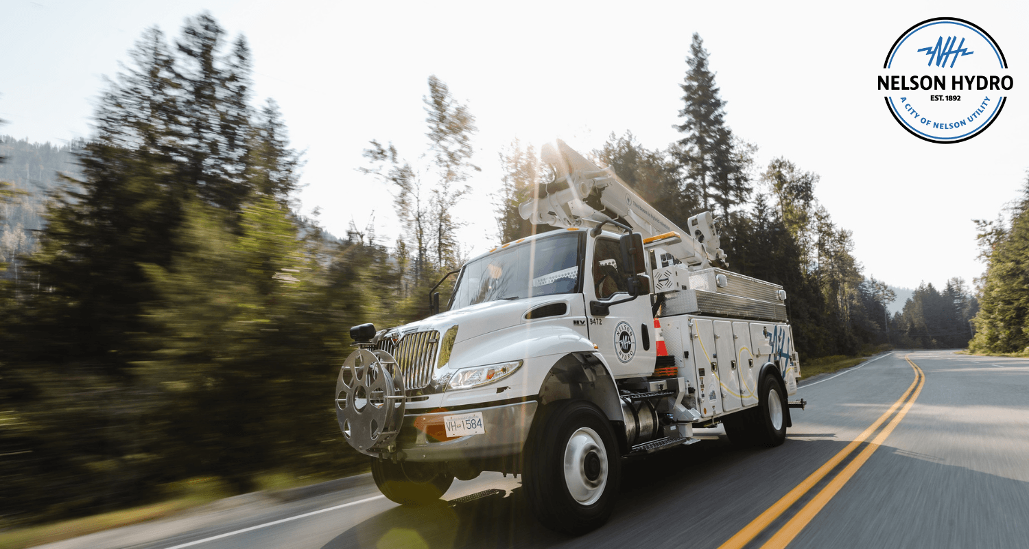 Nelson Hydro On the Move
