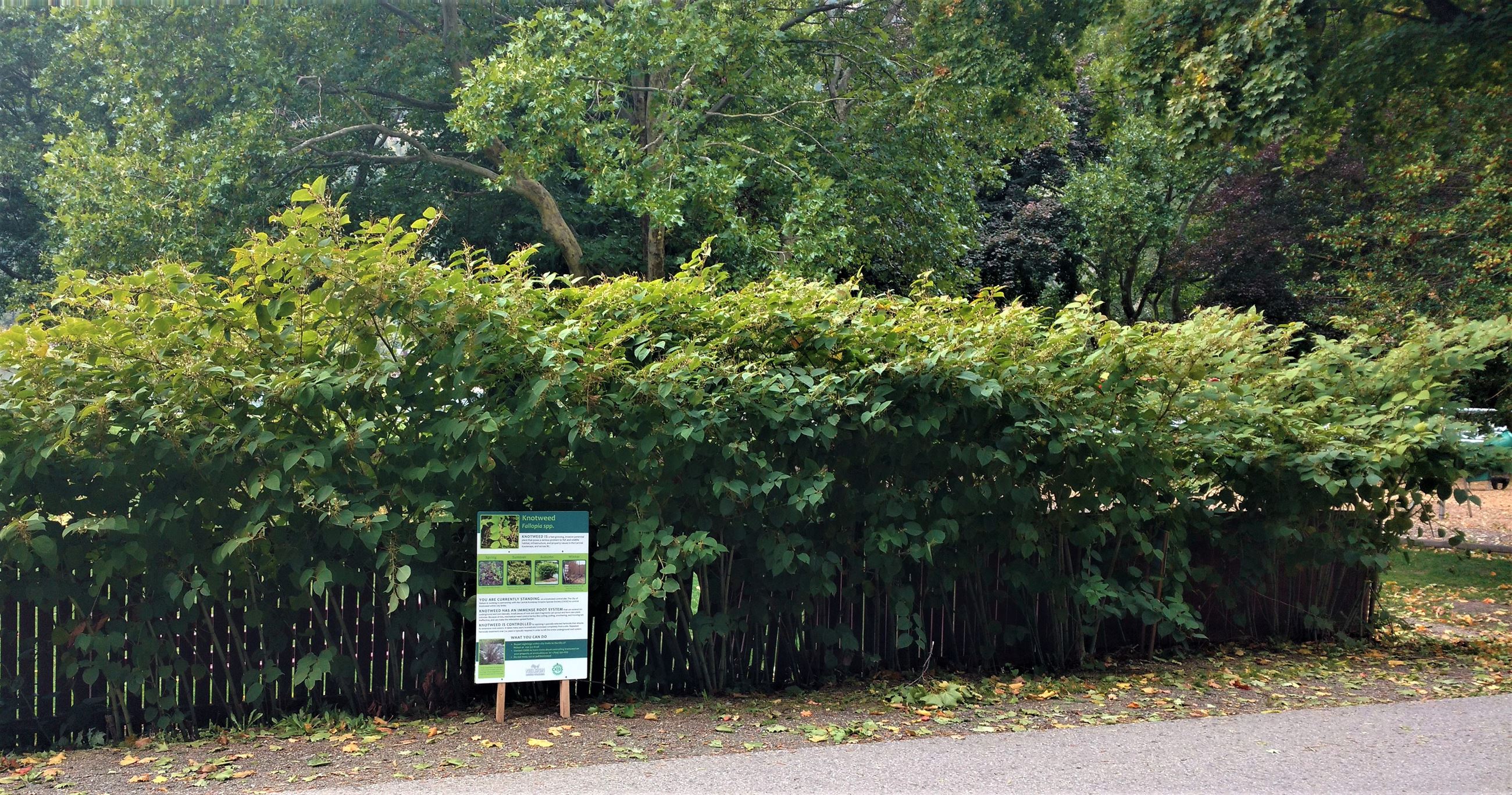 IMG_20190930_111442060