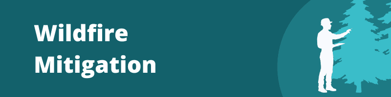 Wildfire_Mitigation_new