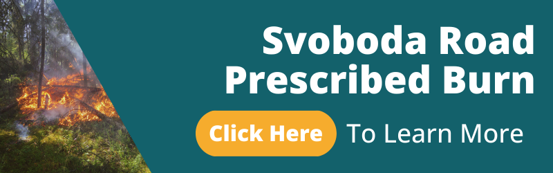 Svoboda Road Prescribed Burn Information (800 x 250 px)