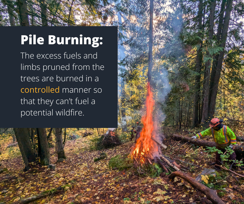 pile burning near cemetery
